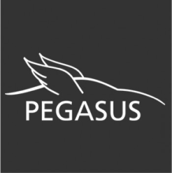 The PEGASUS Project: Testing Strategies for the Highly Automated Driving 